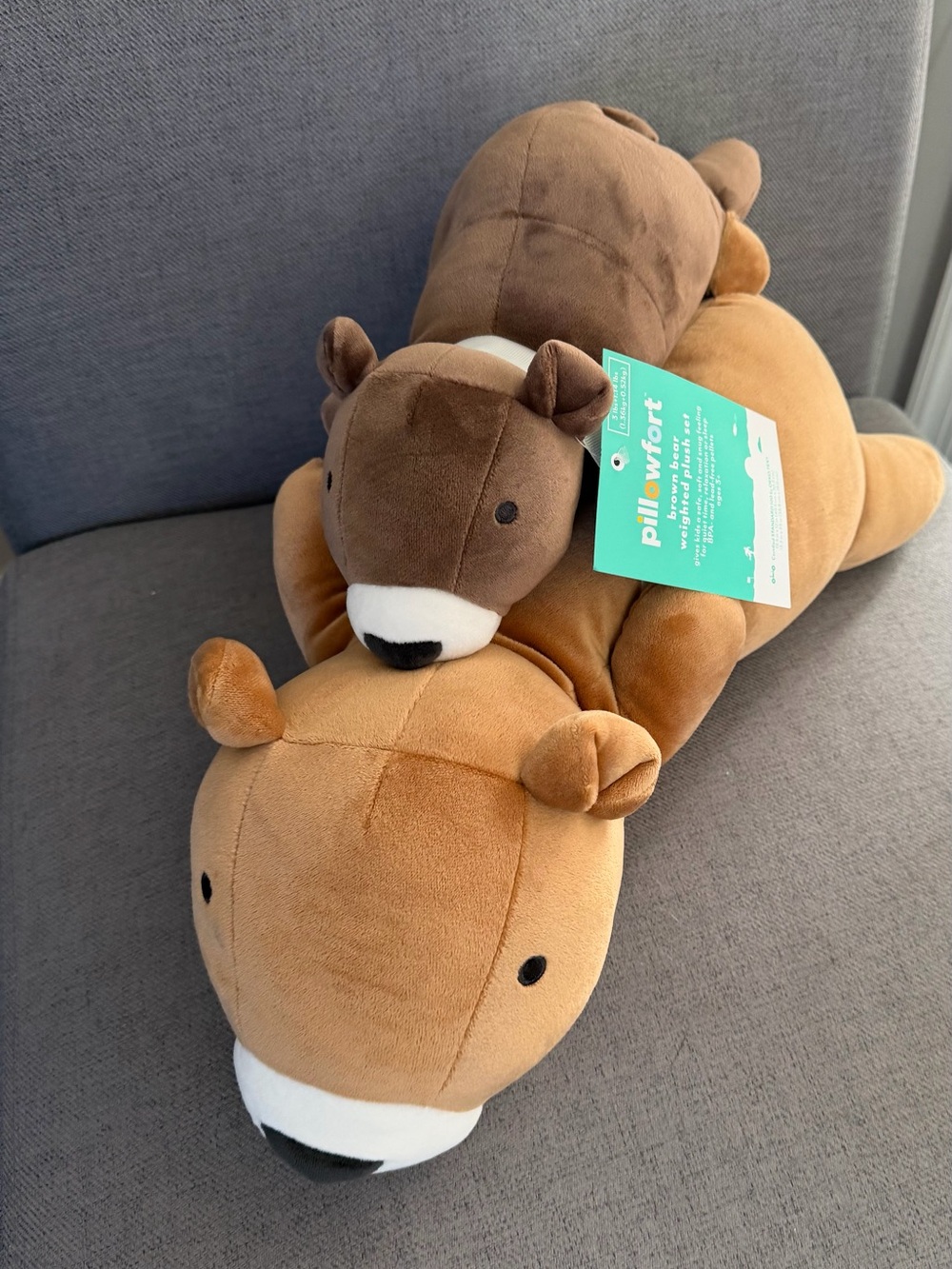 Pillowfort Weighted Brown Bear Plush Set Mommy & Baby NWT Hard  To Find